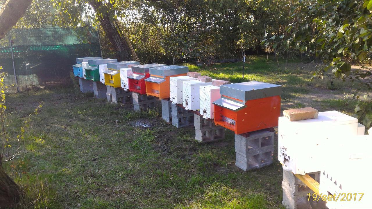 L'Ape In Corte Casa Di Campagna, Via Francigena Stanze E Colazione Vaccarizza Eksteriør billede