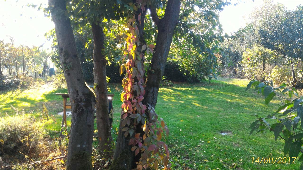 L'Ape In Corte Casa Di Campagna, Via Francigena Stanze E Colazione Vaccarizza Eksteriør billede