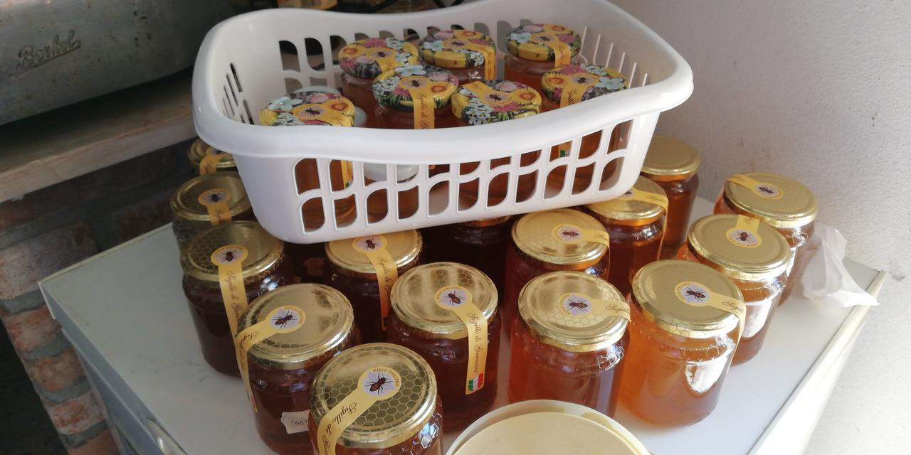 L'Ape In Corte Casa Di Campagna, Via Francigena Stanze E Colazione Vaccarizza Eksteriør billede